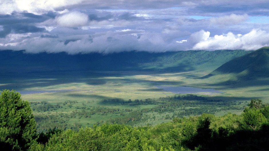 Ngorongoro