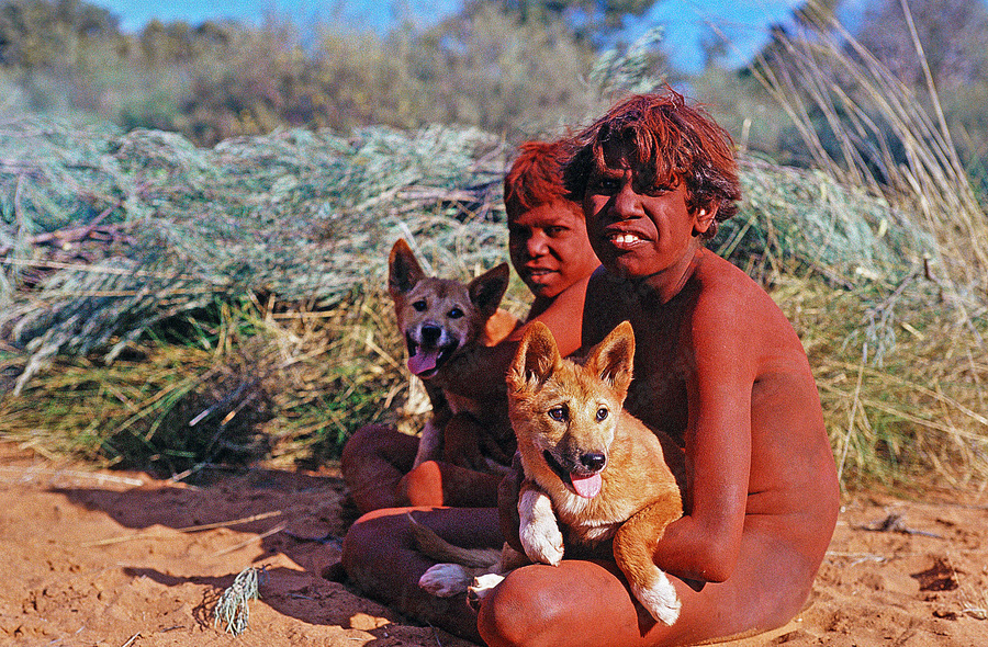 Aborigéni