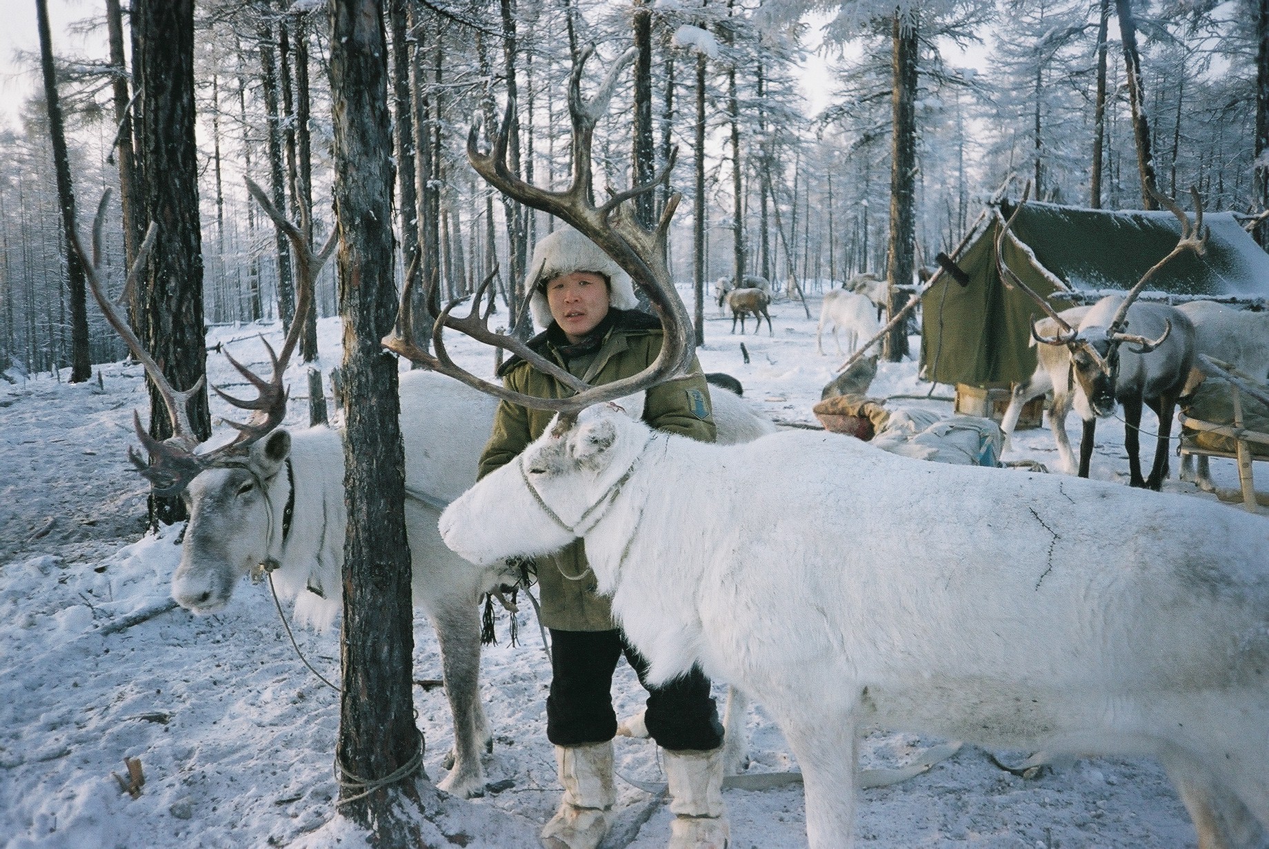 Mrazivá Sibir