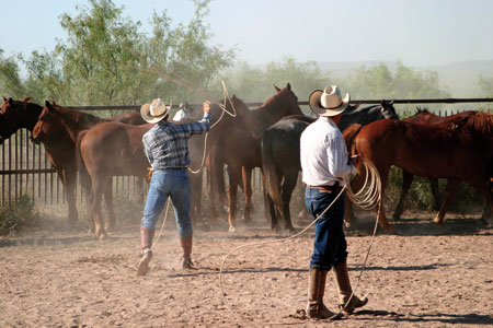 Texas